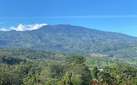 Hotel Green Mountain Turrialba